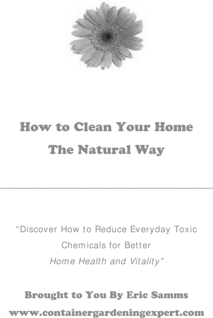 Product picture How to Clean Your Home the Natural Way with MRR